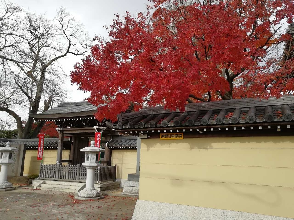 f:id:seiko_udoku:20201215211032j:plain