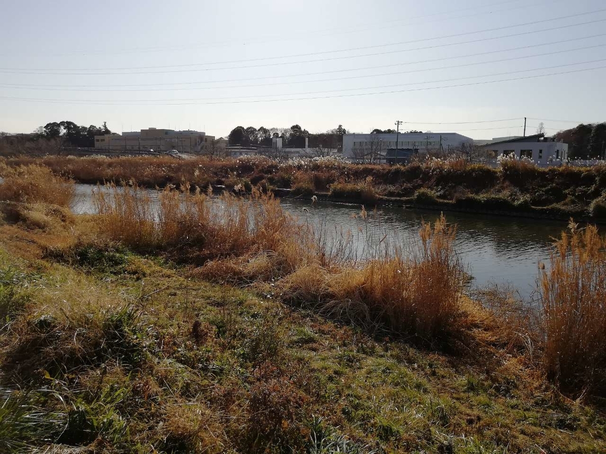 f:id:seiko_udoku:20210108091442j:plain