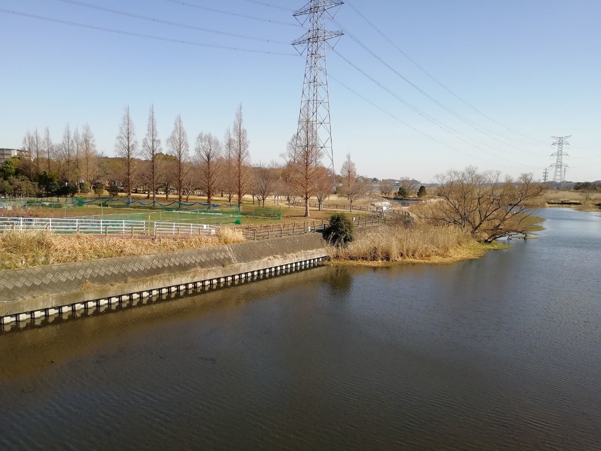 f:id:seiko_udoku:20210108091821j:plain