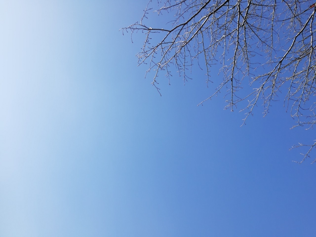 f:id:seiko_udoku:20210108091926j:plain