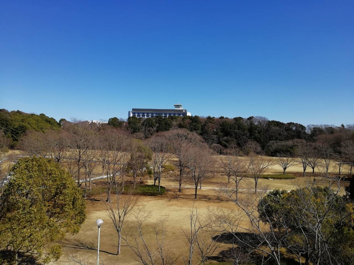 f:id:seiko_udoku:20210228155847j:plain