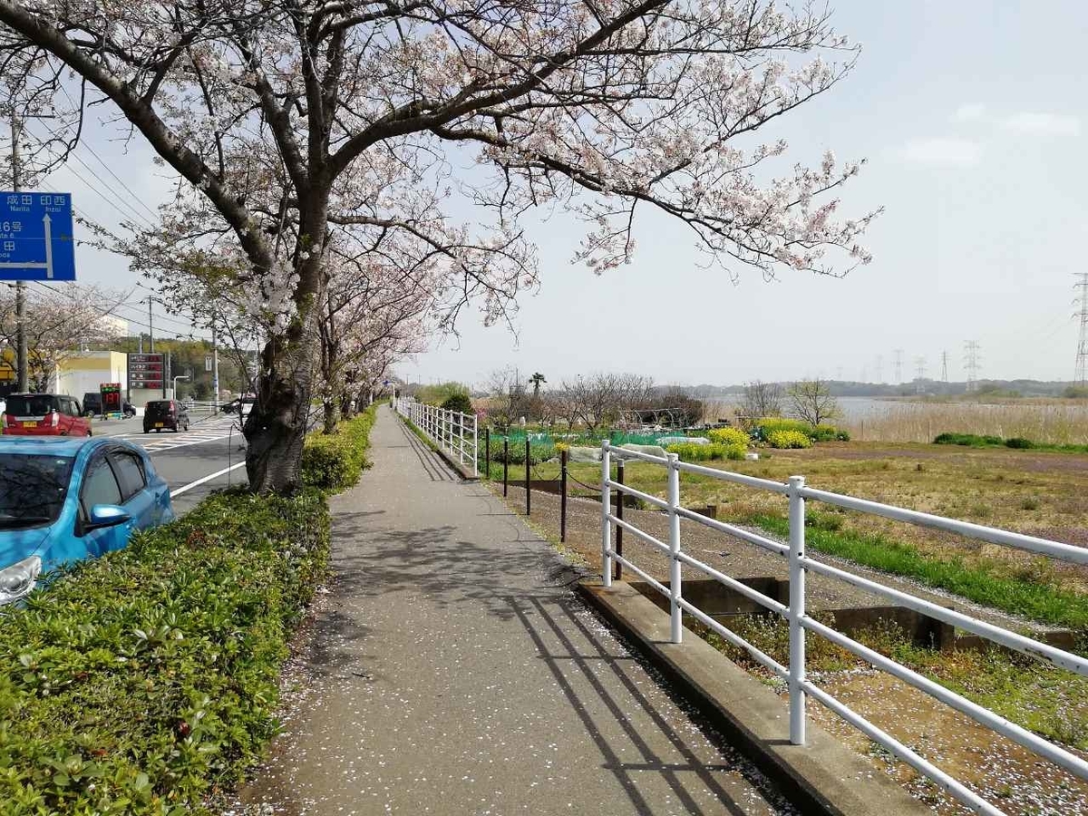 f:id:seiko_udoku:20210403100413j:plain