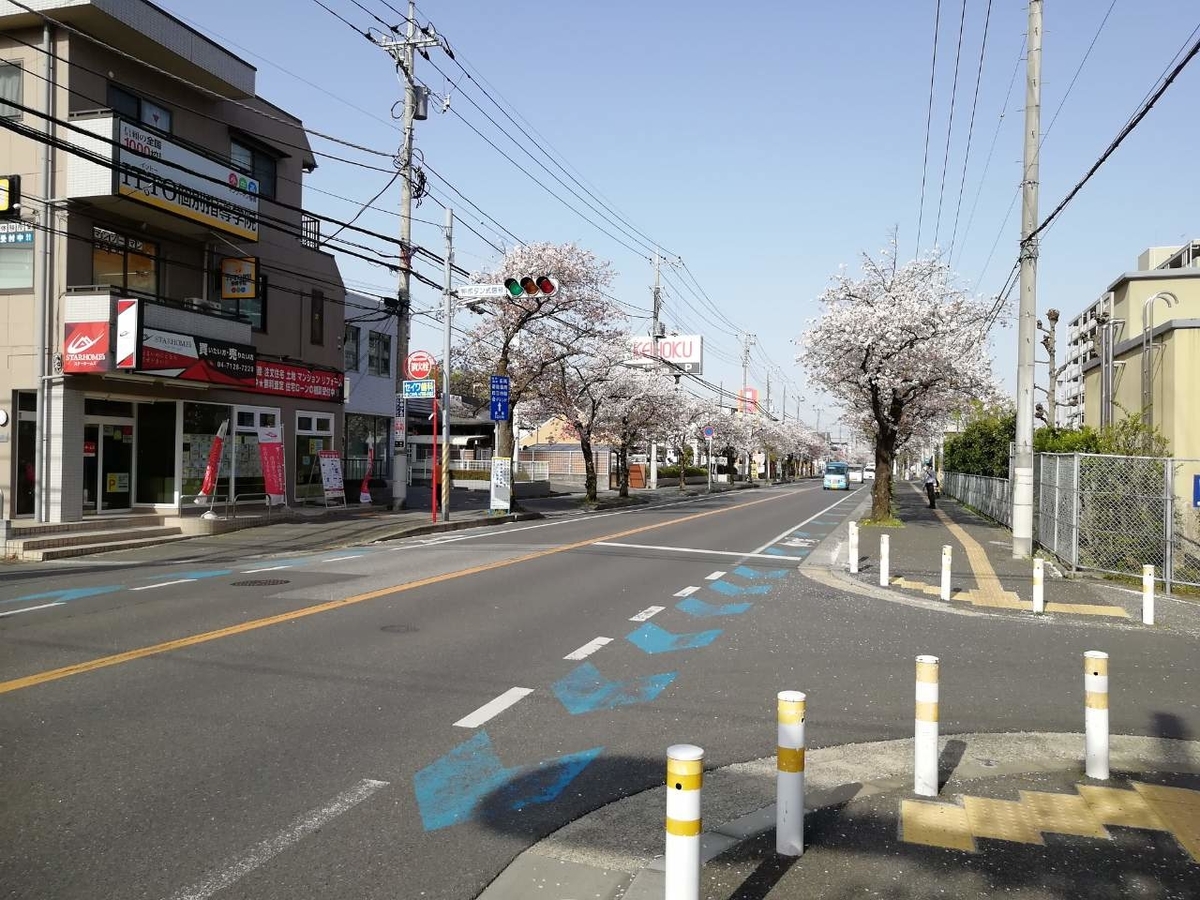 f:id:seiko_udoku:20210403154331j:plain