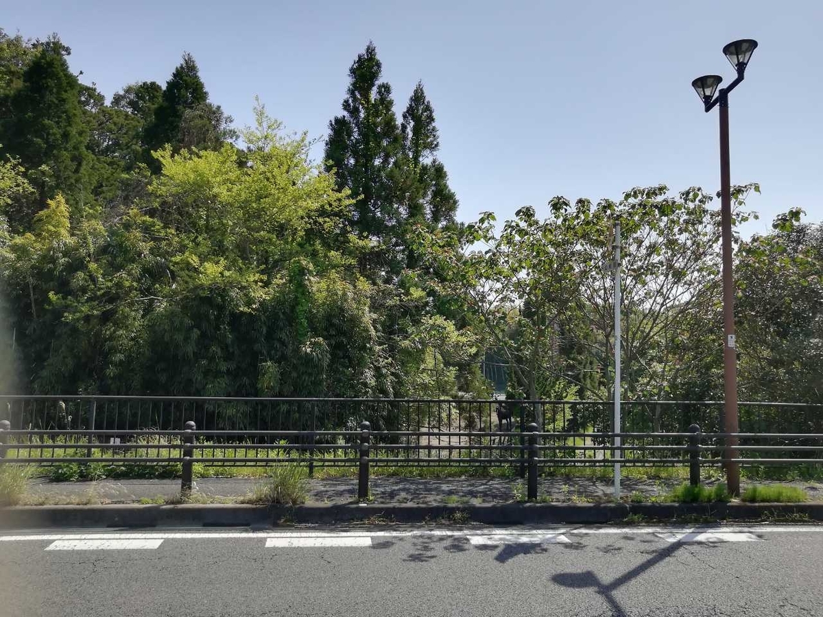 f:id:seiko_udoku:20210420155706j:plain
