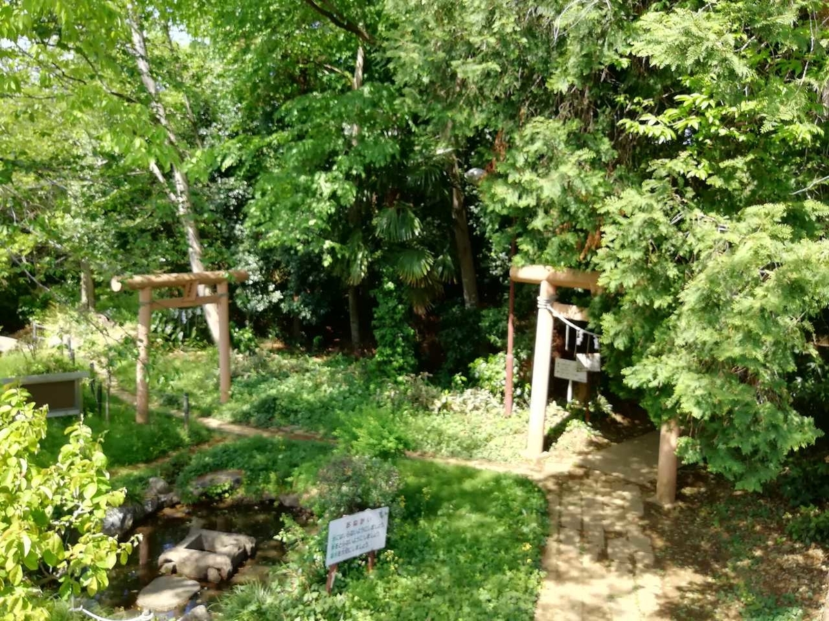 f:id:seiko_udoku:20210420160422j:plain