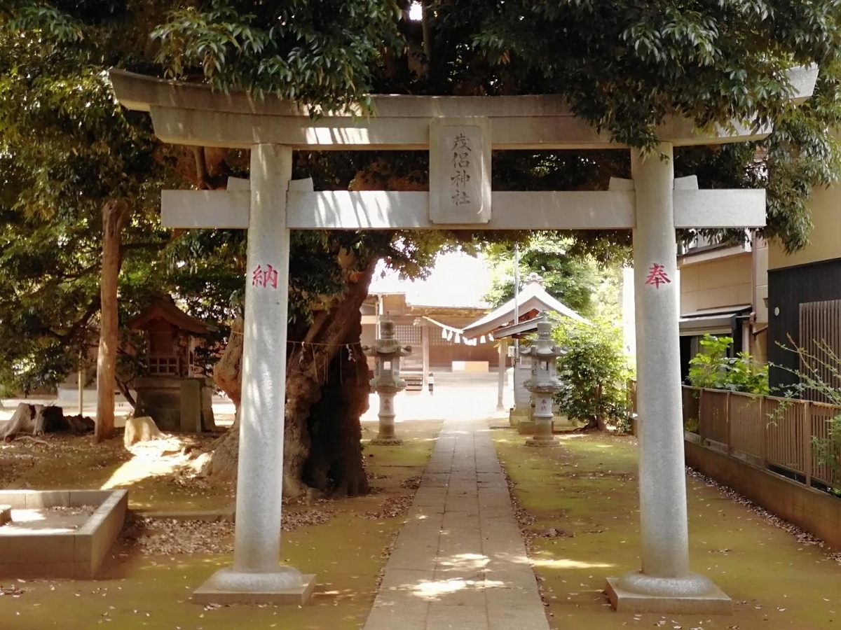 f:id:seiko_udoku:20210619200438j:plain