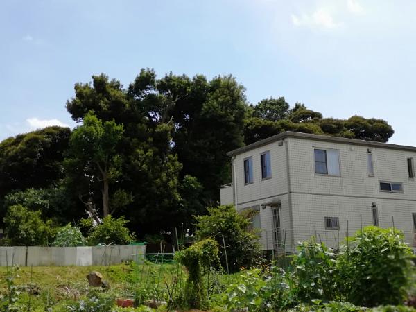 f:id:seiko_udoku:20210619202148j:plain