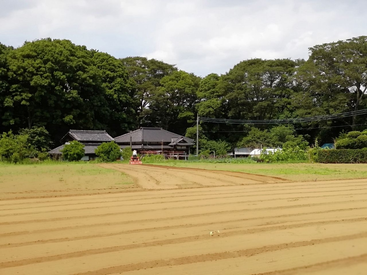 f:id:seiko_udoku:20210619221148j:plain