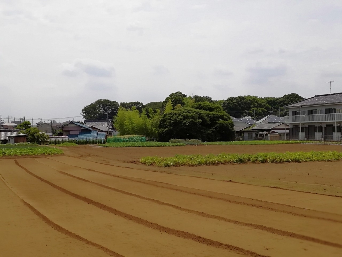 f:id:seiko_udoku:20210619221555j:plain