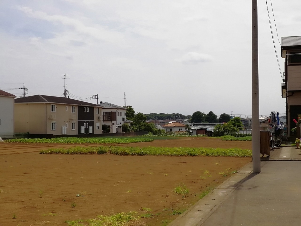 f:id:seiko_udoku:20210619221639j:plain