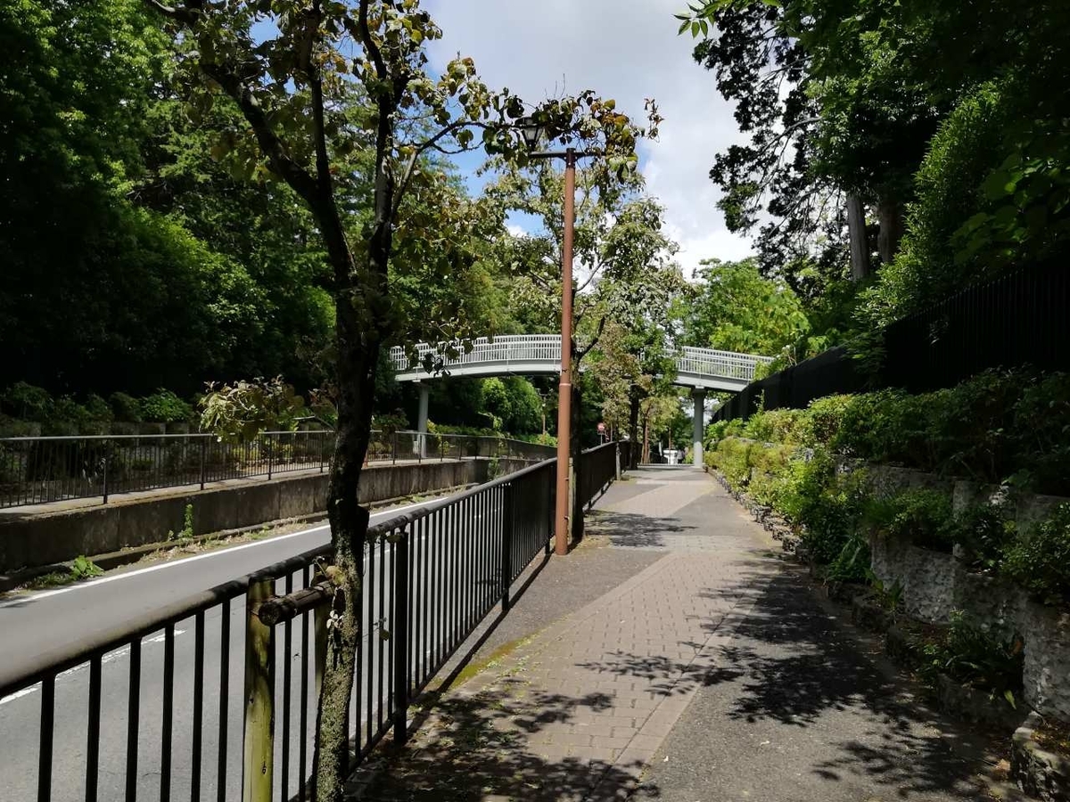 f:id:seiko_udoku:20210628200824j:plain