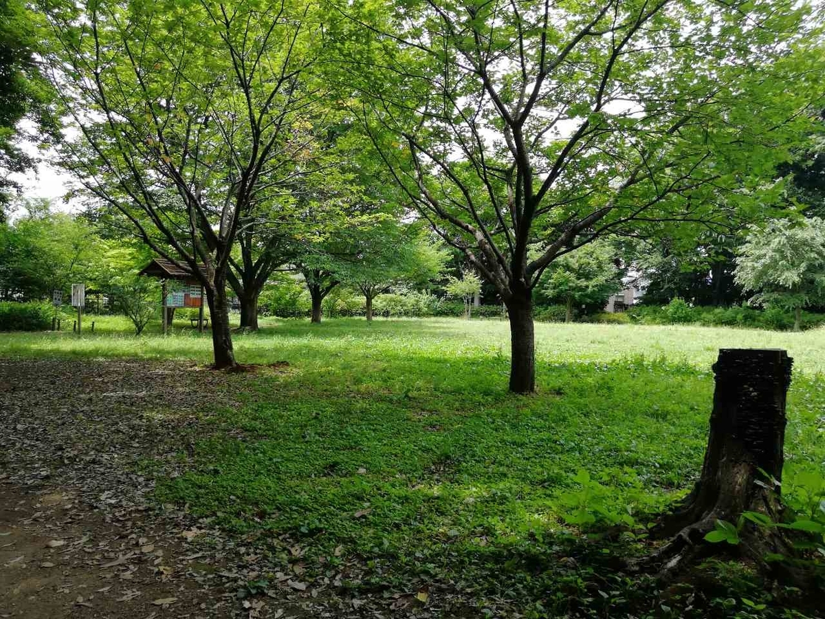 f:id:seiko_udoku:20210629170931j:plain
