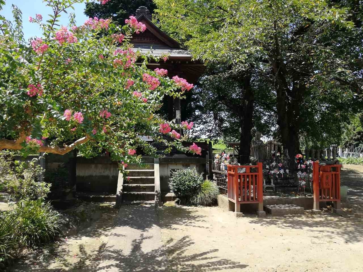 f:id:seiko_udoku:20210805162122j:plain