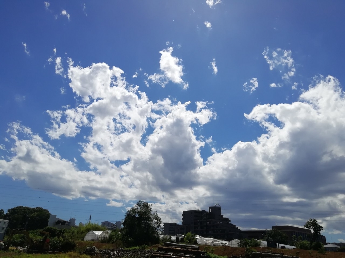 f:id:seiko_udoku:20210810155419j:plain
