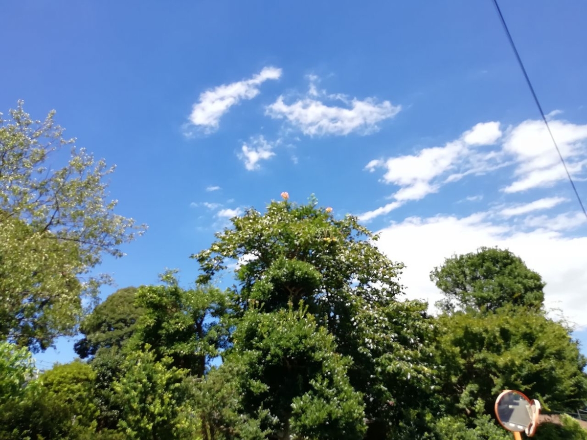 f:id:seiko_udoku:20210810160257j:plain