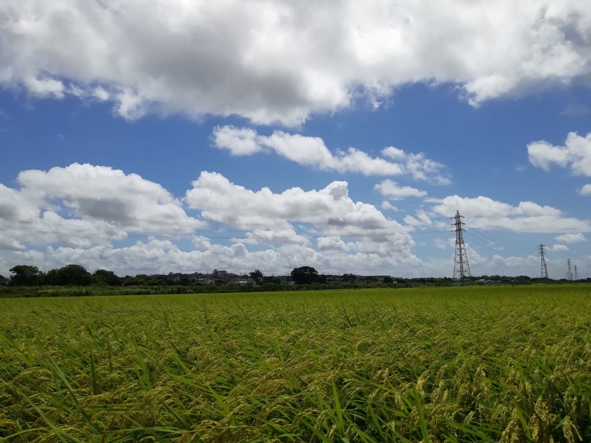 f:id:seiko_udoku:20210818210256j:plain