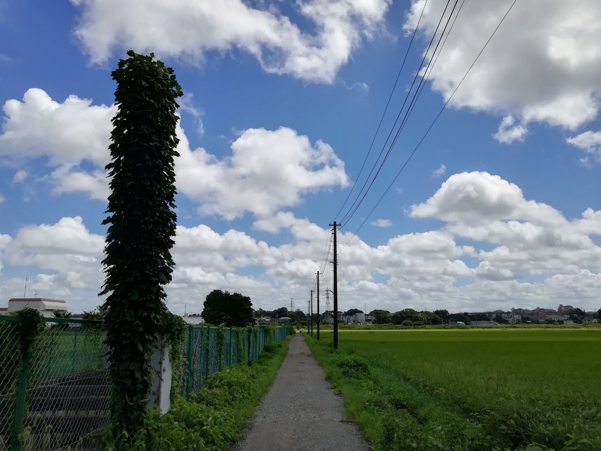 f:id:seiko_udoku:20210818210633j:plain