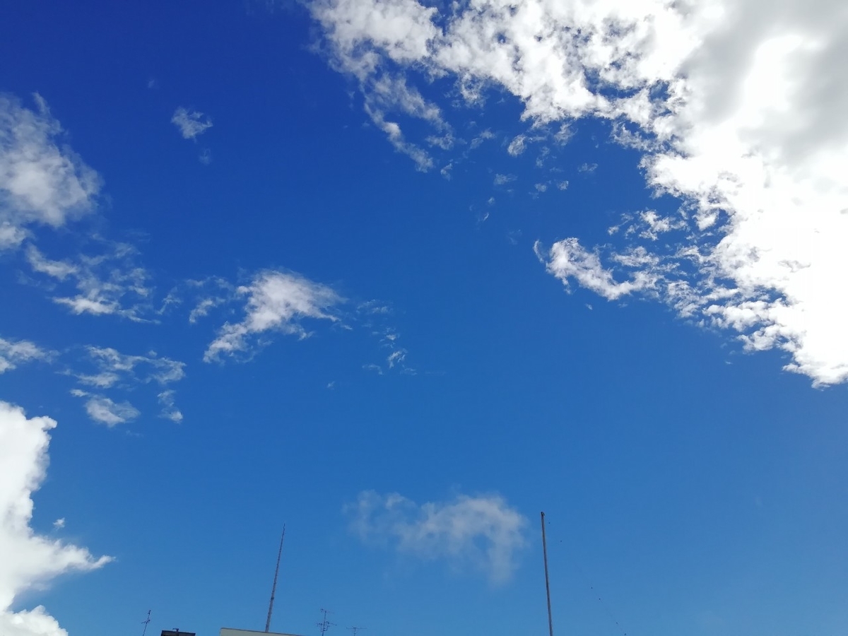 f:id:seiko_udoku:20210818232019j:plain