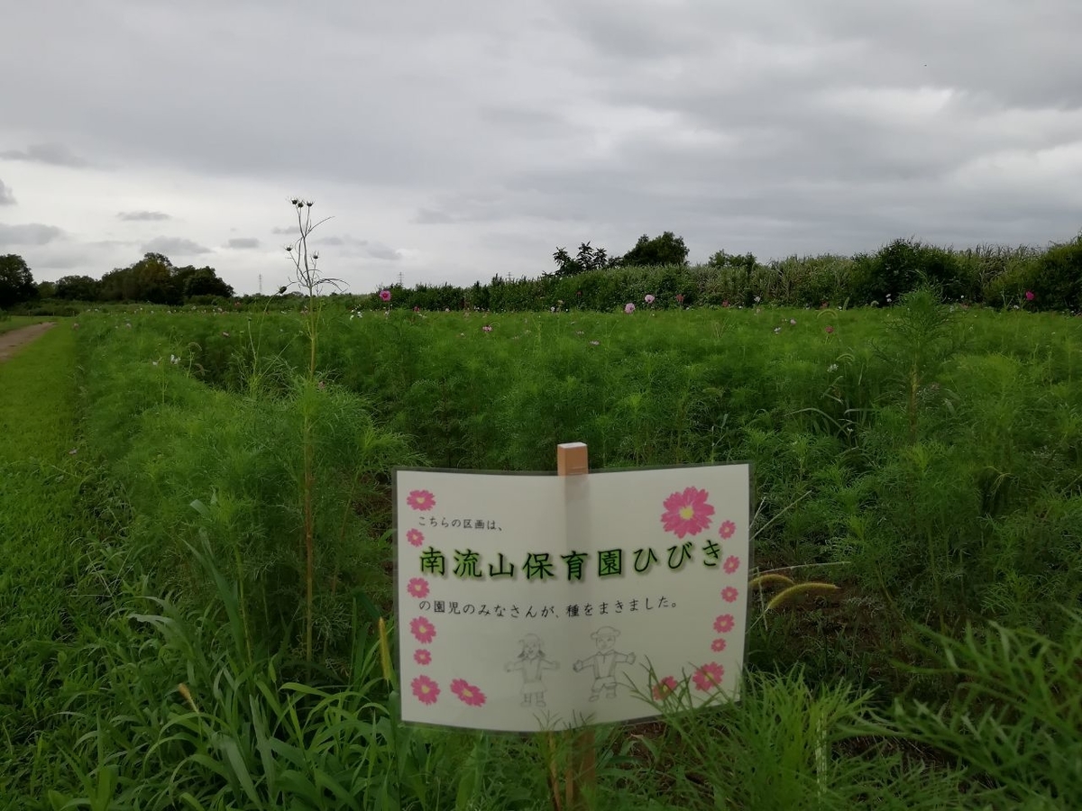 f:id:seiko_udoku:20210907154912j:plain