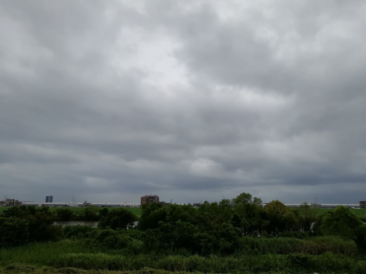 f:id:seiko_udoku:20210907155815j:plain
