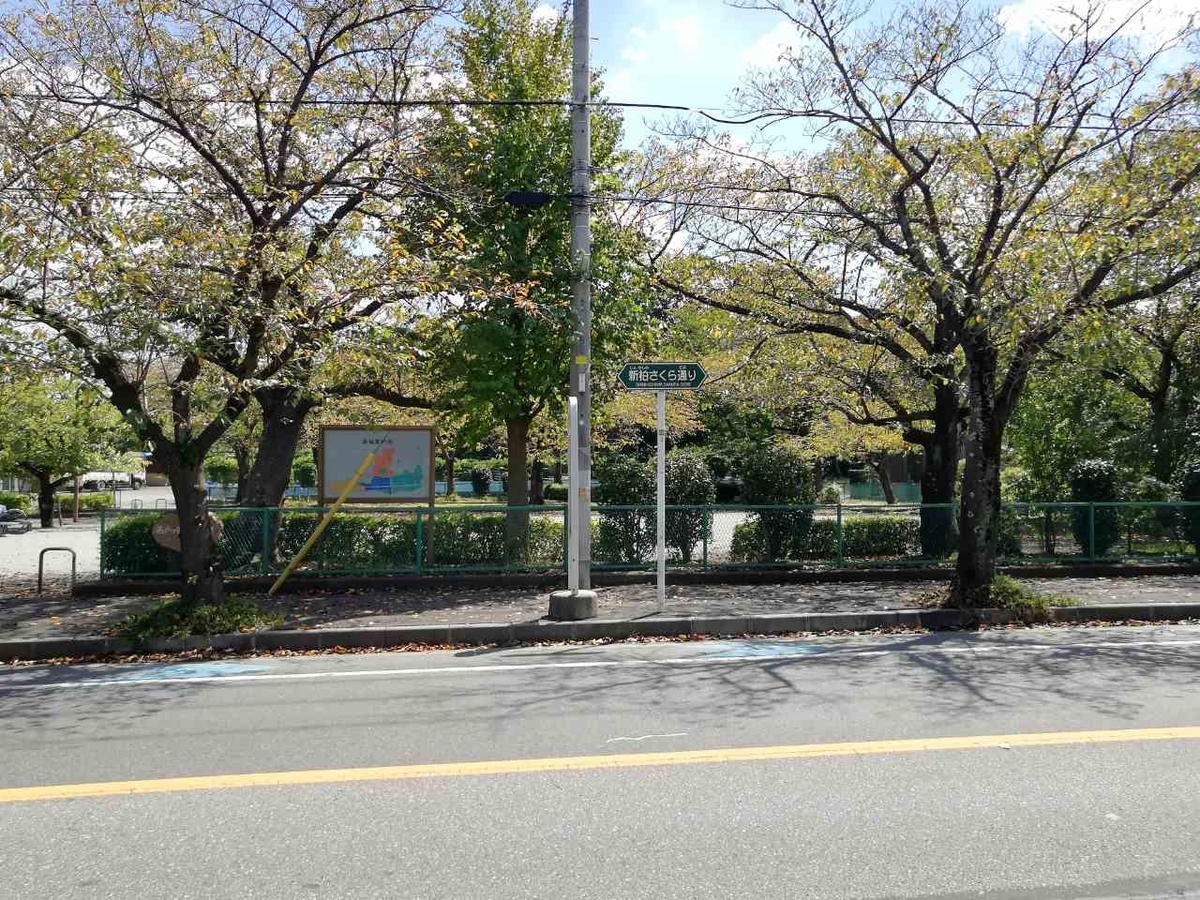 f:id:seiko_udoku:20210911212459j:plain