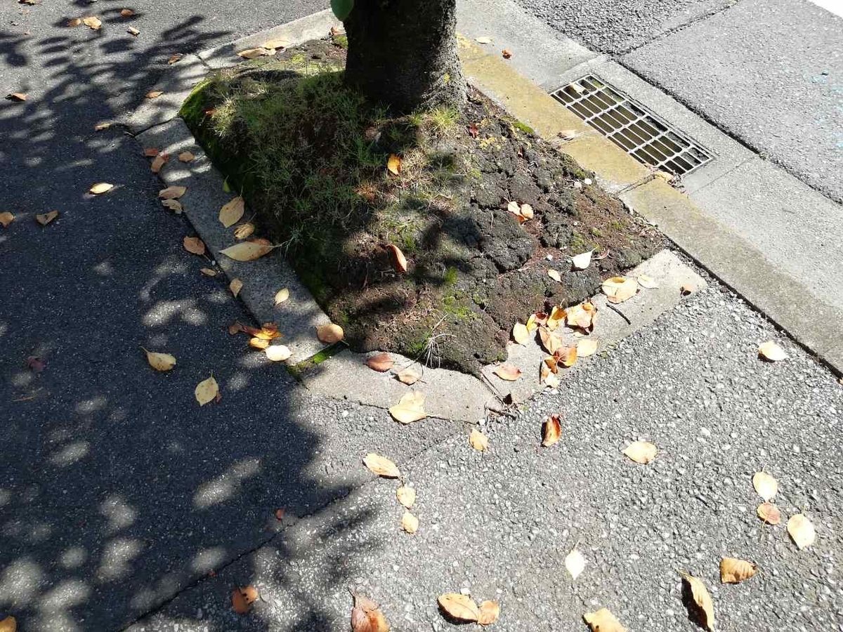 f:id:seiko_udoku:20210912092920j:plain
