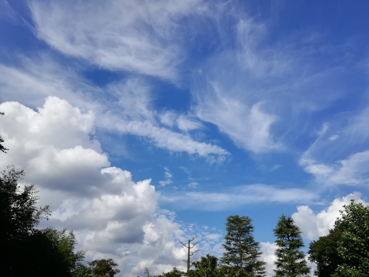 f:id:seiko_udoku:20210915095536j:plain