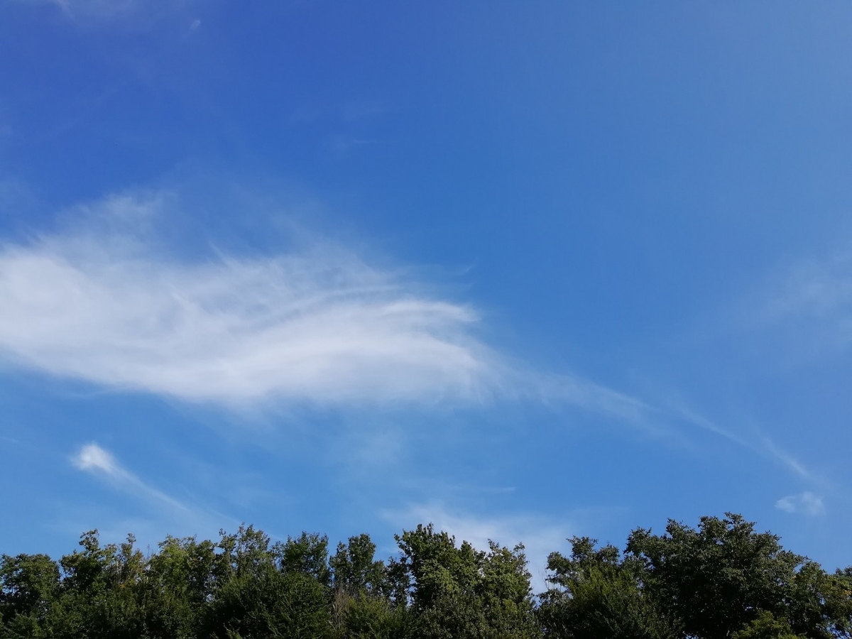 f:id:seiko_udoku:20210915114710j:plain