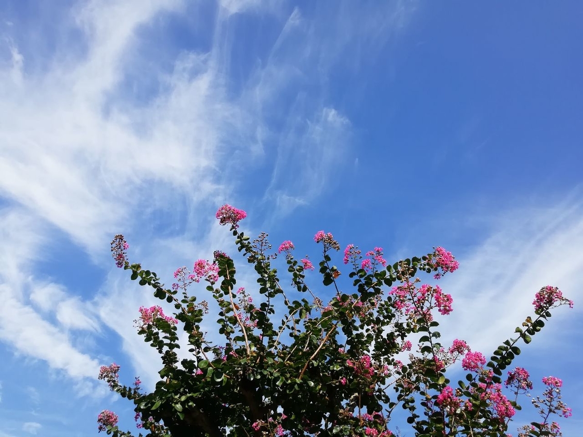 f:id:seiko_udoku:20210915115101j:plain