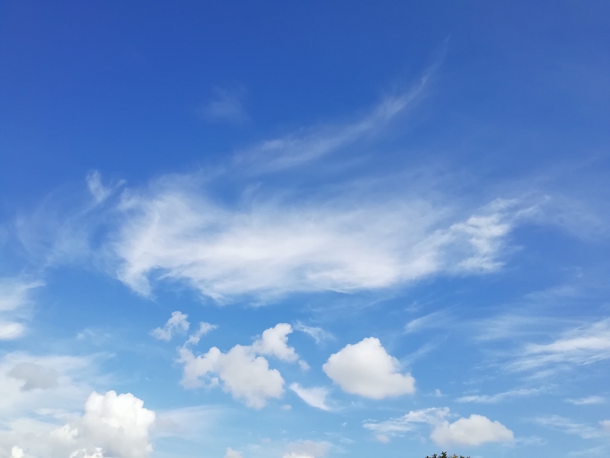 f:id:seiko_udoku:20210915115244j:plain