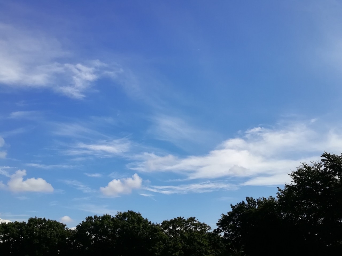 f:id:seiko_udoku:20210915115527j:plain