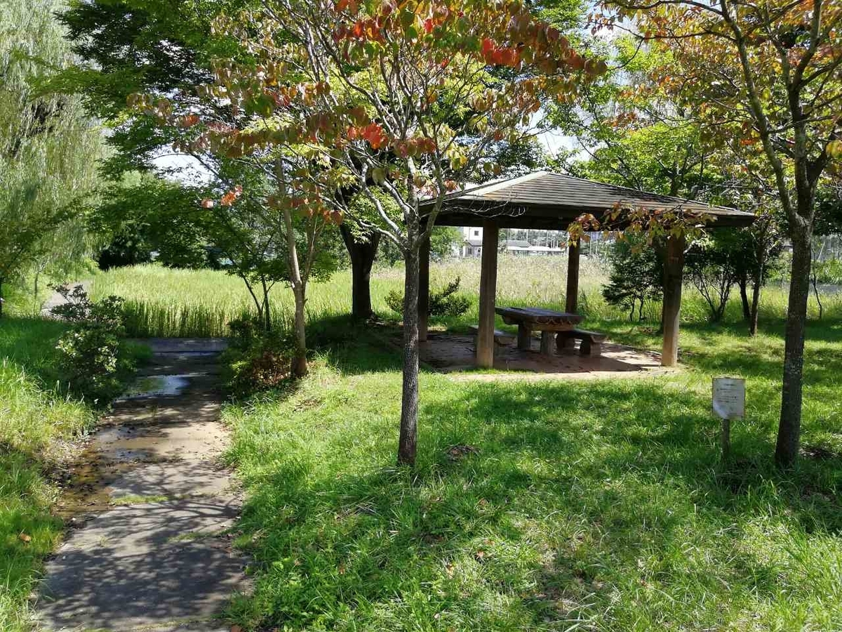 f:id:seiko_udoku:20210917114329j:plain