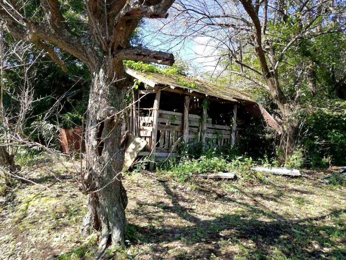 f:id:seiko_udoku:20210922213801j:plain