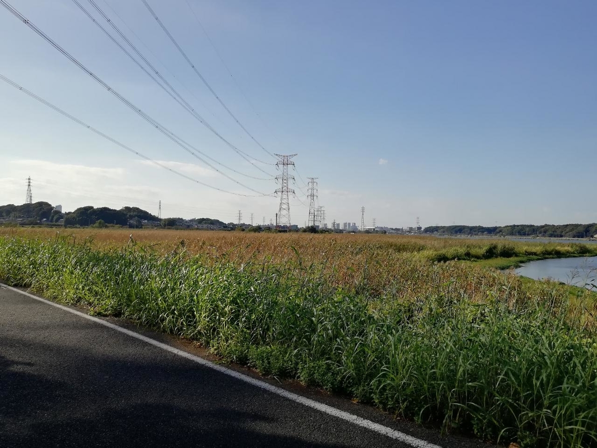 f:id:seiko_udoku:20211005164835j:plain