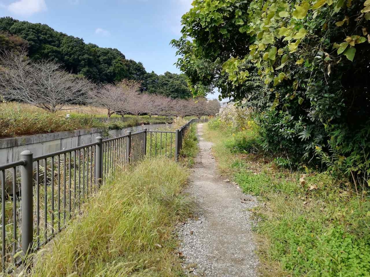 f:id:seiko_udoku:20211015212110j:plain