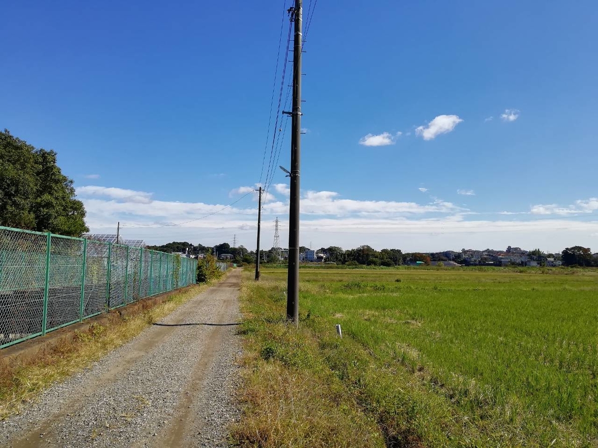 f:id:seiko_udoku:20211031184222j:plain