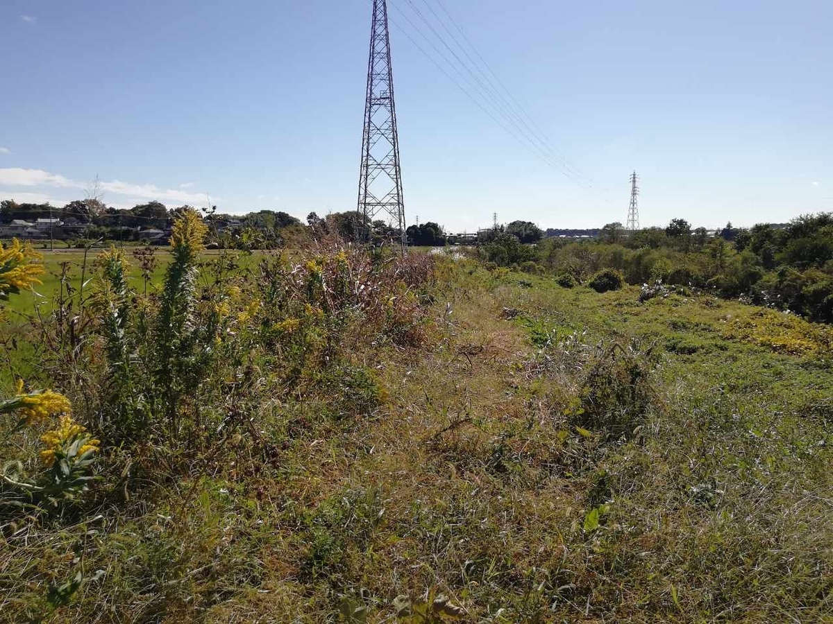 f:id:seiko_udoku:20211031221604j:plain