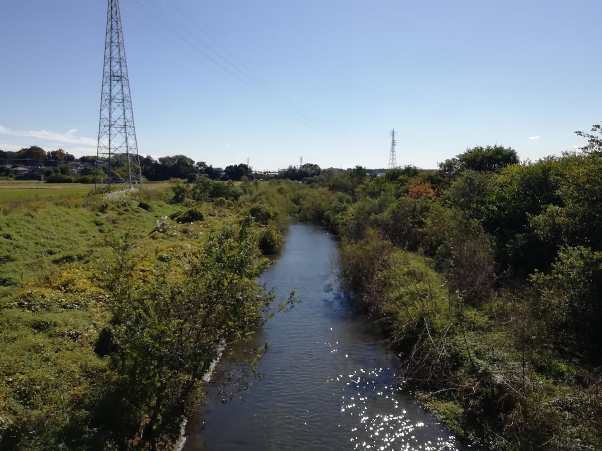 f:id:seiko_udoku:20211031221704j:plain