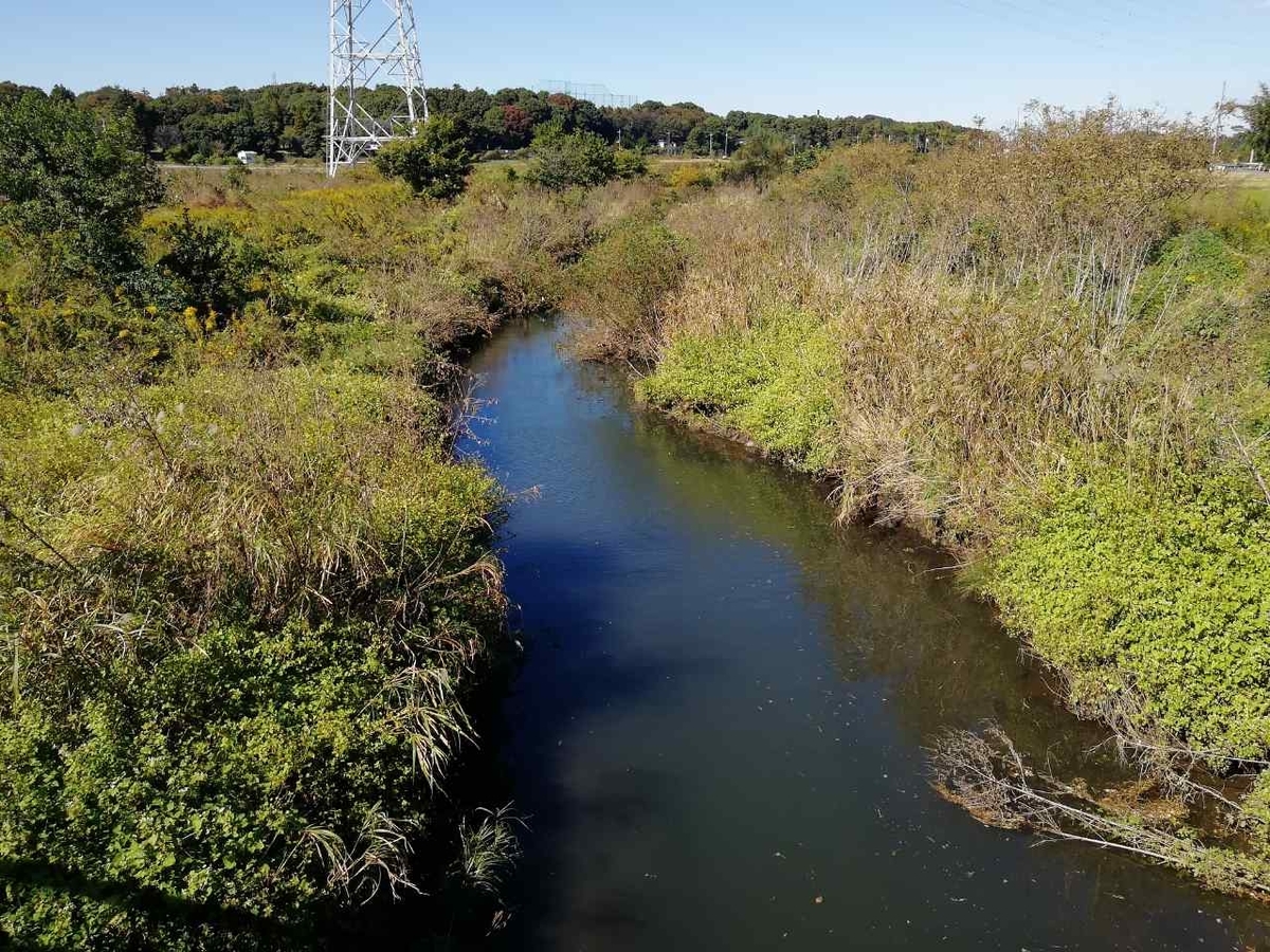 f:id:seiko_udoku:20211031221735j:plain