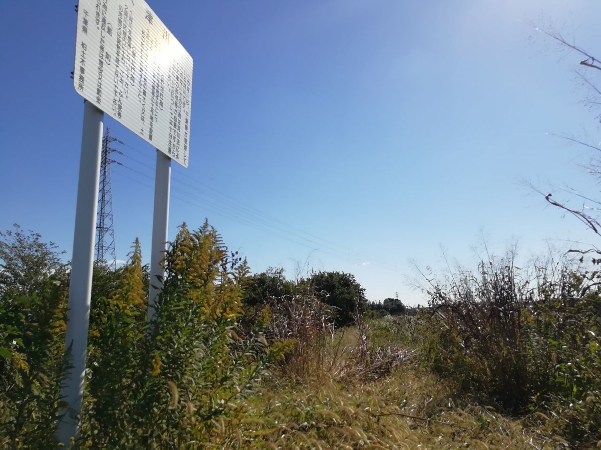 f:id:seiko_udoku:20211031222210j:plain