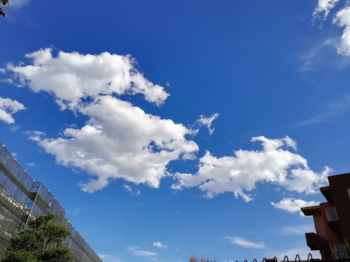 f:id:seiko_udoku:20211113195437j:plain