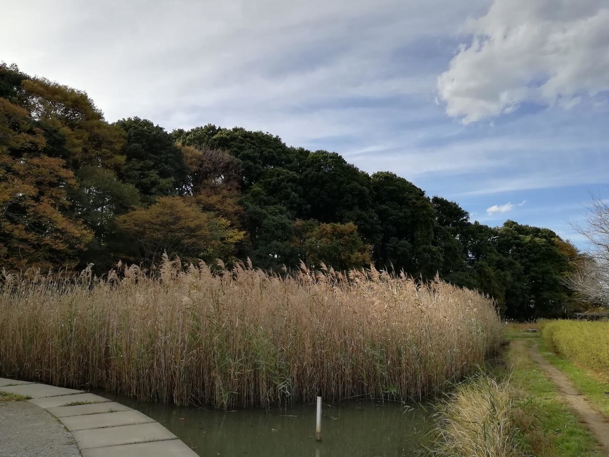 f:id:seiko_udoku:20211113195942j:plain