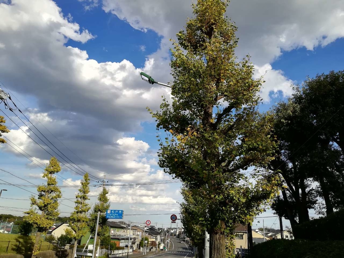 f:id:seiko_udoku:20211113210851j:plain