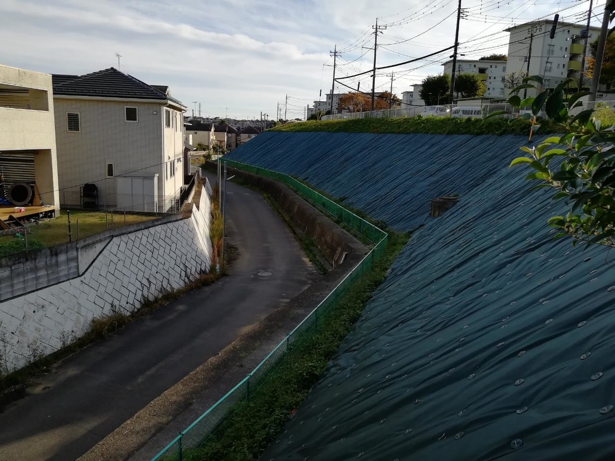 f:id:seiko_udoku:20211113211309j:plain