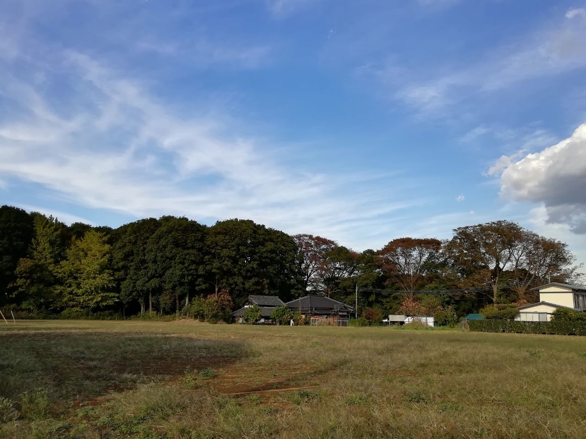 f:id:seiko_udoku:20211113212022j:plain