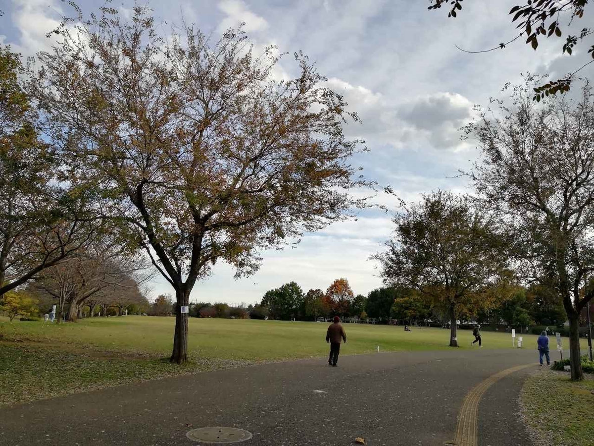 f:id:seiko_udoku:20211113213156j:plain