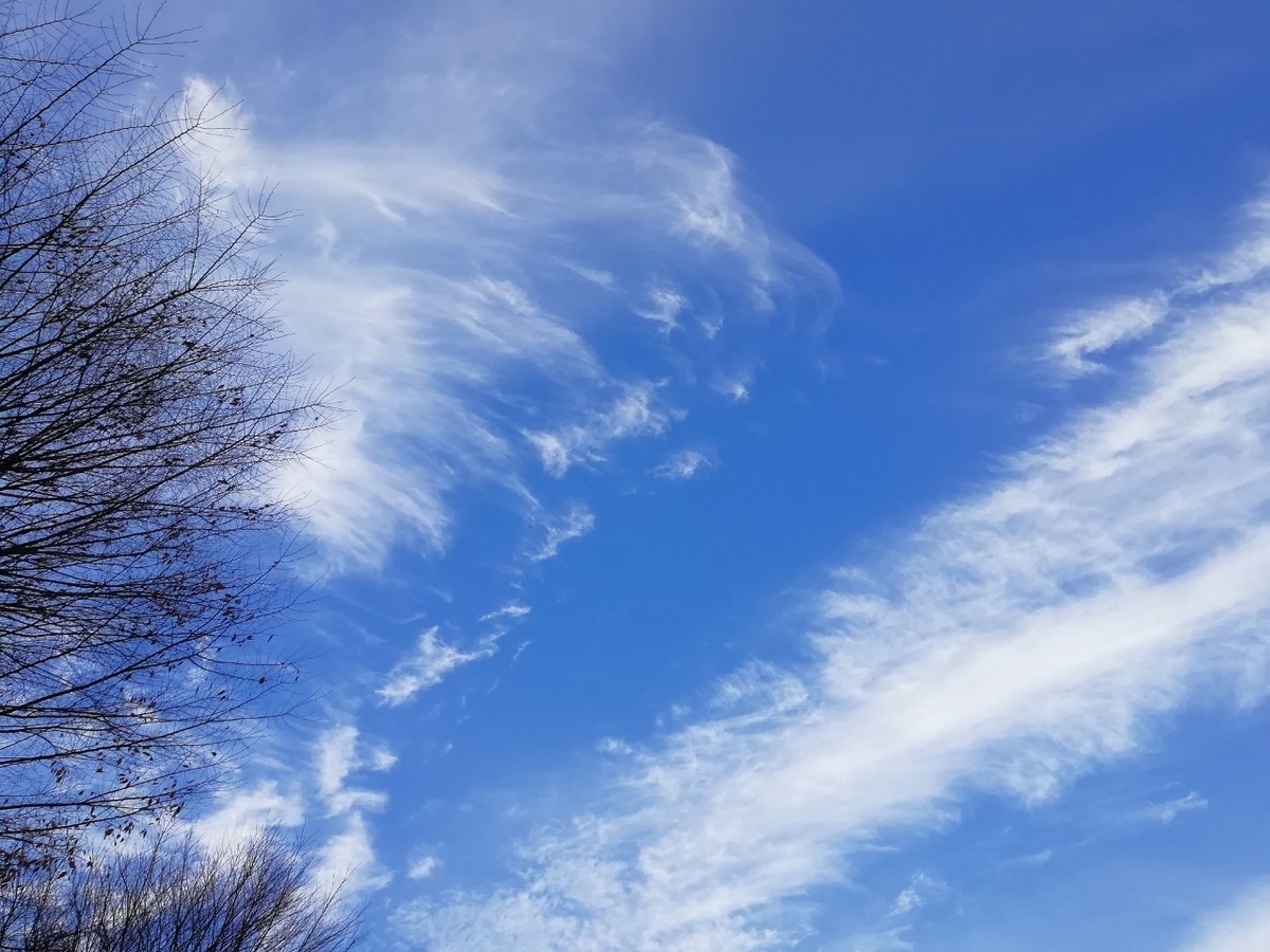 冬の空を見上げている 晴耕雨読 趣味と生活の覚書 冬の空を見上げている 晴耕雨読 趣味と生活の覚書