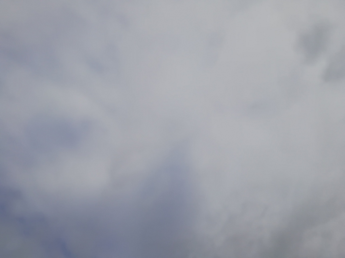 f:id:seiko_udoku:20211214105206j:plain