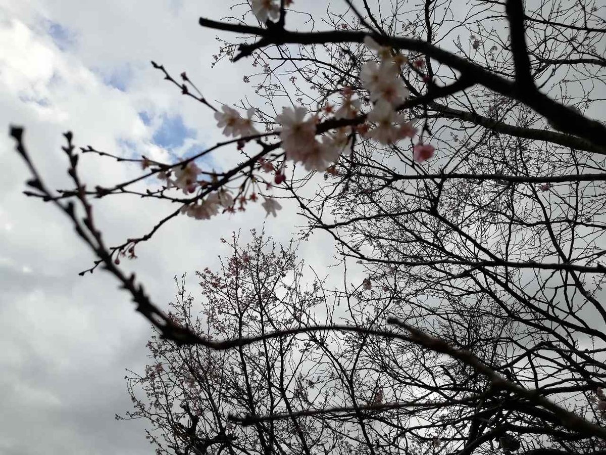 f:id:seiko_udoku:20211218201414j:plain