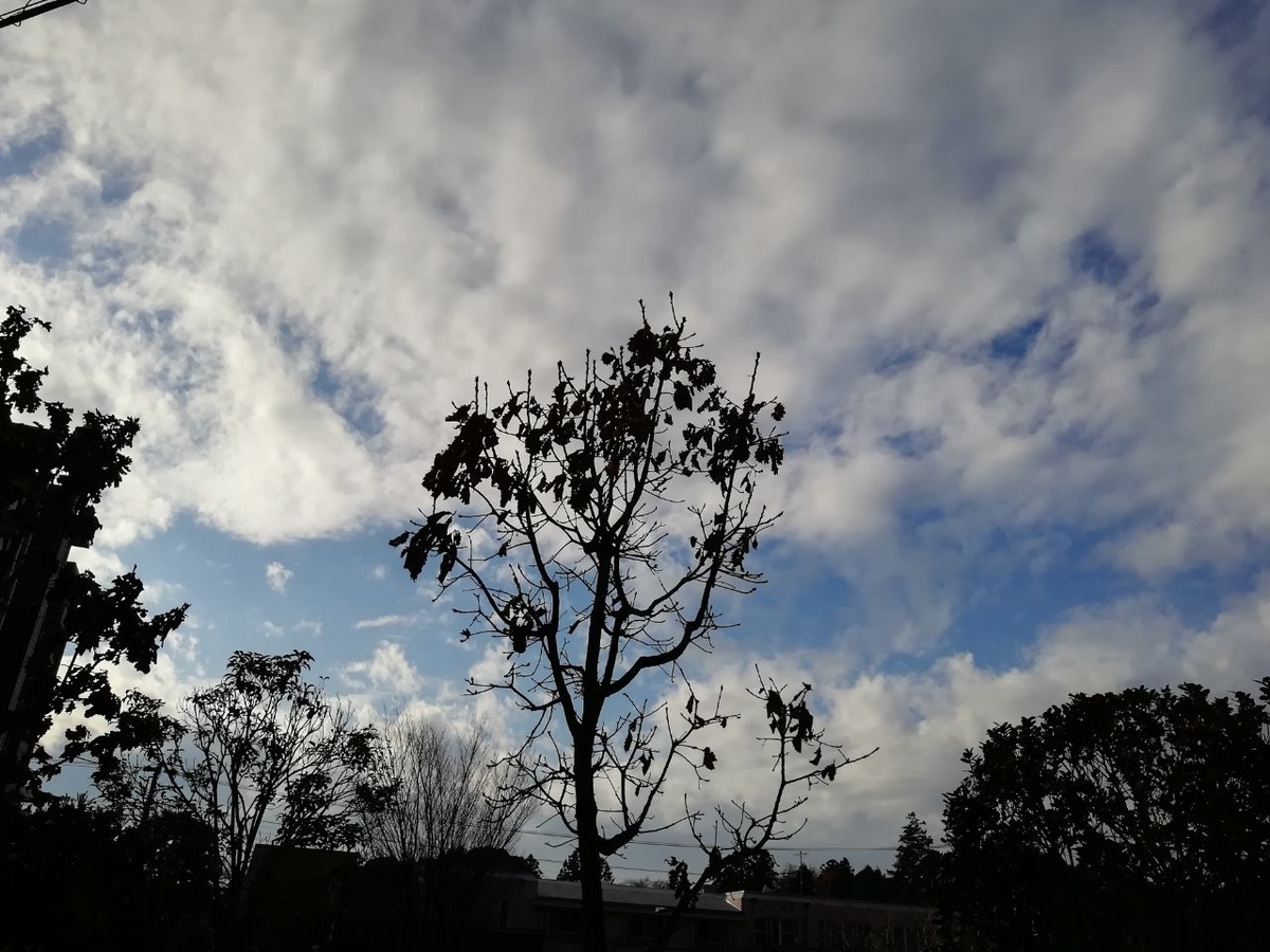 f:id:seiko_udoku:20211218202003j:plain